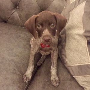 Meet your Posher, Leslie